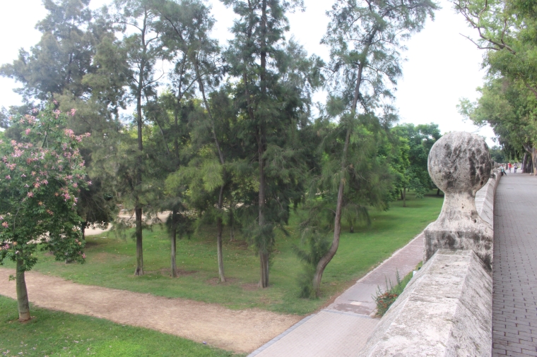 Der Jardí del Túria ist ein Park in einem ehemaligen Flussbett, der sich durch die ganze Stadt erstreckt. Ideal zum Radfahren oder Joggen